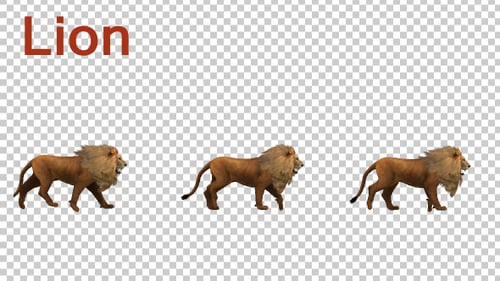 Animación Lion Fast Walk