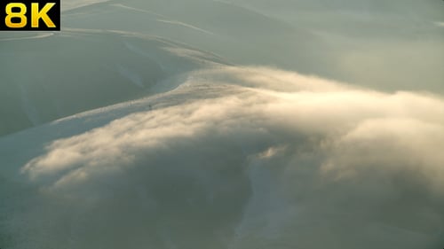 Brouillard matinal