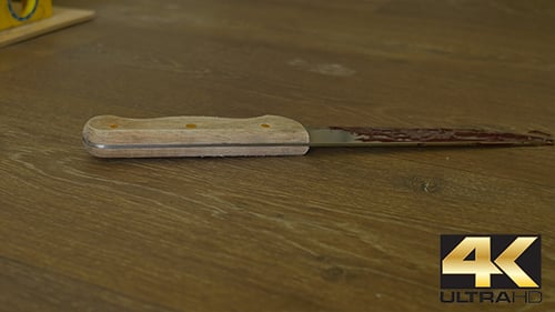 Bloody Knife Lying on the Floor