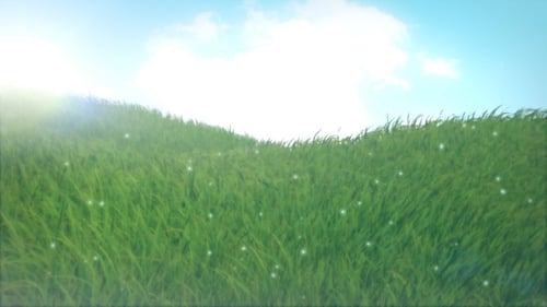 Animated Green Grass Field Loop Background