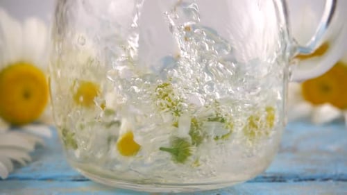 Pouring Water into Chamomile Flowers for Herbal Tea