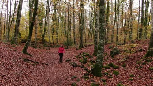 Hiker Woman Walking Through the Forest in Autumn