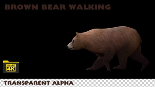 Animated Brown Bear Walking Loop with Alpha Channel