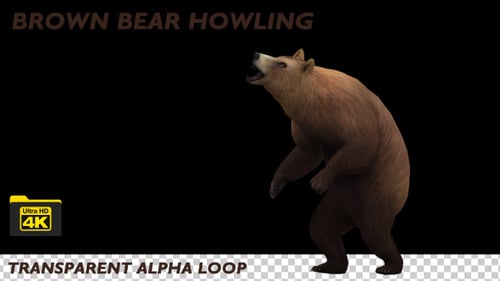 Animated Brown Bear Roaring on Transparent Background