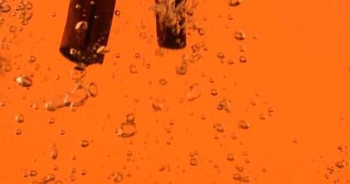 Cinnamon Sticks and Lemon Dropped in Orange Liquid