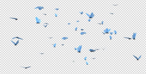 Butterfly Swarm - Blue Adonis