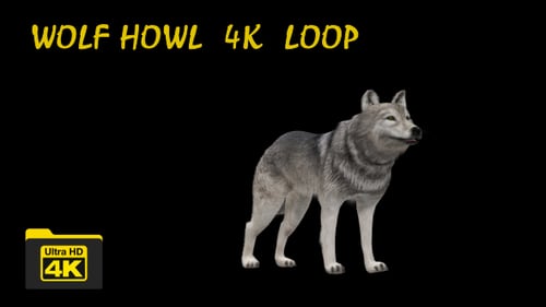 Animated 3D Wolf Howling with Transparent Background