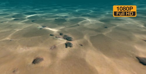 Underwater plants