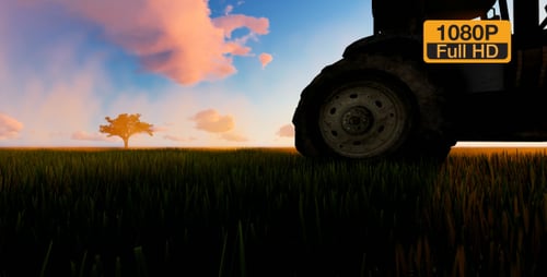 Tractor working in the field sunset