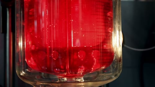 Bubbling Red Liquid in Scientific Glass Vessel