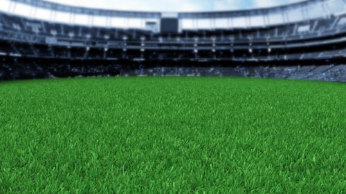 Grass Stadium