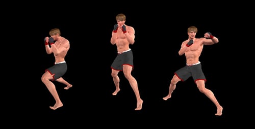 Боевые искусства - Бокс Combo - X - Европейский боец - Набор из 2