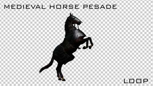 Armored War Horse Rearing and Standing Animation