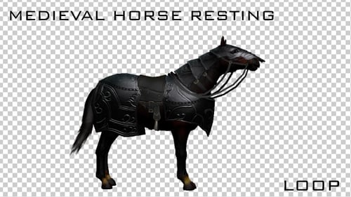 Medieval War Horse Resting