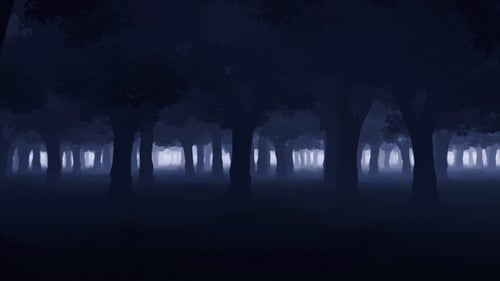 Mystery Dark Forest