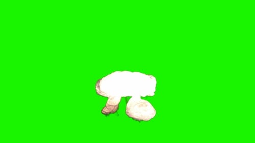 Bomb Explosion
