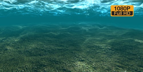 Underwater green ground