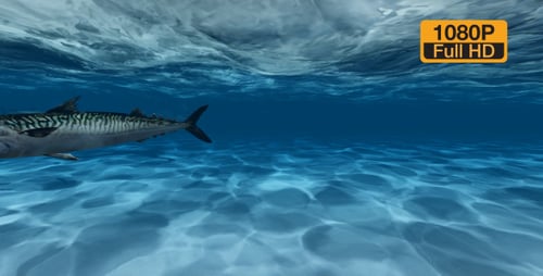 Underwater Ocean Scene with Sunlight Rays and Swimming Fish