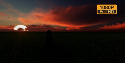 Sunset Field und Vögel