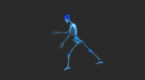 Boucle Hud Ui Hologramme Danse Squelette