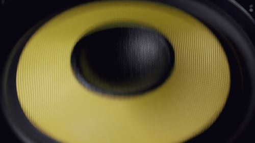 Speaker Cone Vibrating Close Up
