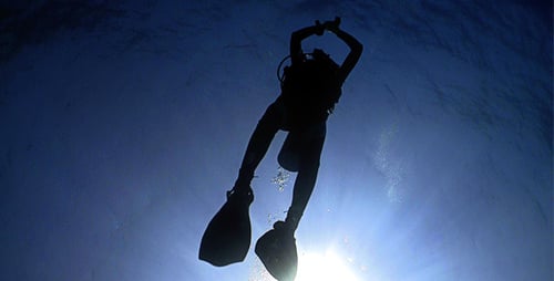 Diver Swims Over Camera