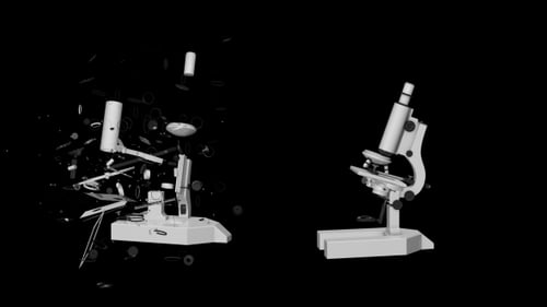 3D Microscope Transforming