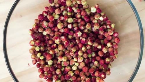 Cueillette de fraises en accéléré