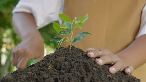 Gros plan de la main utilisant une pelle pour planter des arbres dans le sol