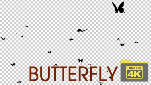 Black Butterflies Flying Alpha Channel Overlay