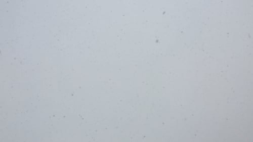Falling Snow Flakes