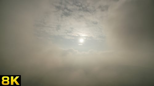 Fog