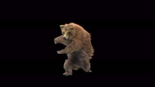 Cute Brown Bear Dancing on Two Legs Isolated Animation