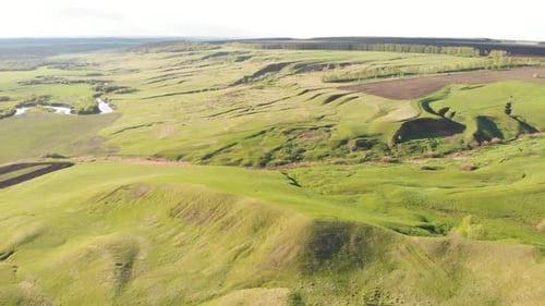 Spring hills