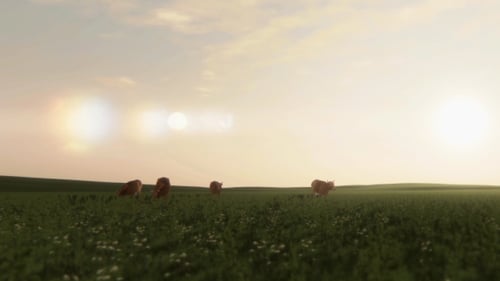 Animated Cattle Grazing in Green Field at Sunrise