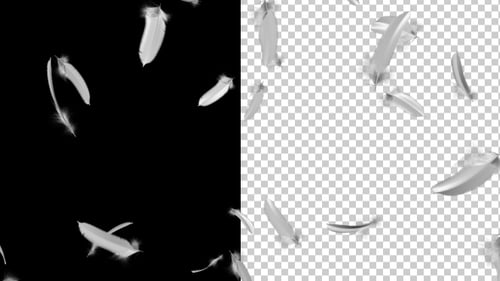 Soft White Feathers Falling Seamless Loop