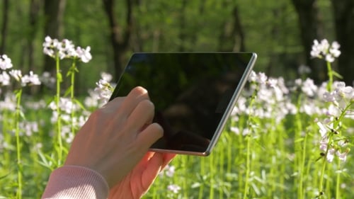 Tablet Use in Spring Nature Scene