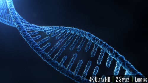 DNA Molecule Structure 4K
