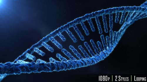 DNA Molecule Structure