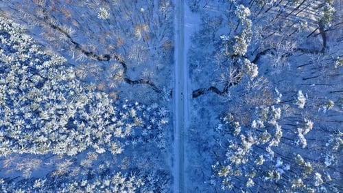 Forest and snowy road in winter. Transport in winter
