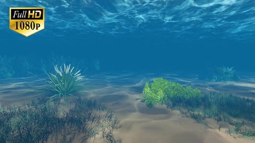 Underwater