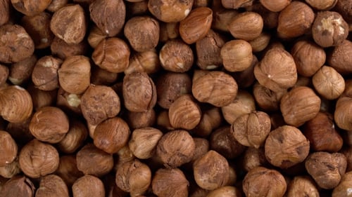Shelled Hazelnuts Close Up Panning Shot
