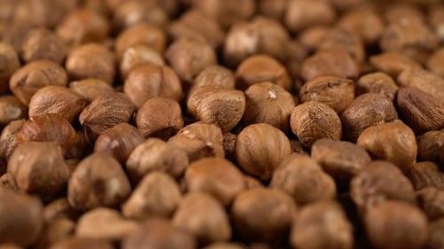 Pile of Fresh Shelled Hazelnuts, Close Up