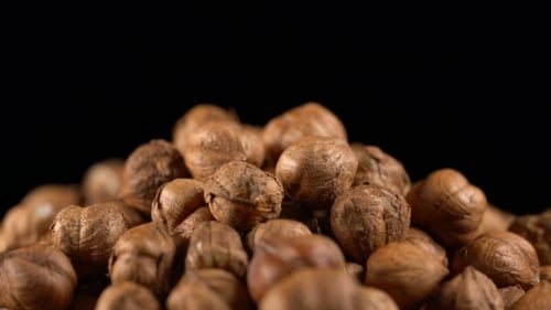 Pile of Raw Brown Shelled Hazelnuts