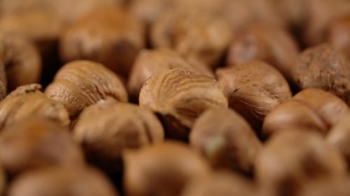 Macro Shot of Brown Hazelnuts