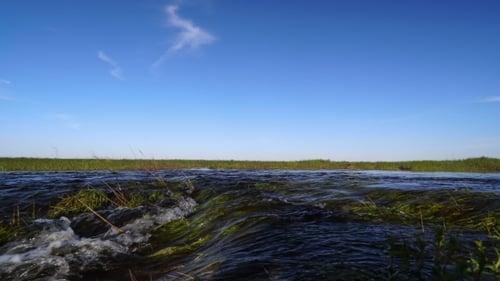A Bubbling Stream in the Spring Steppe