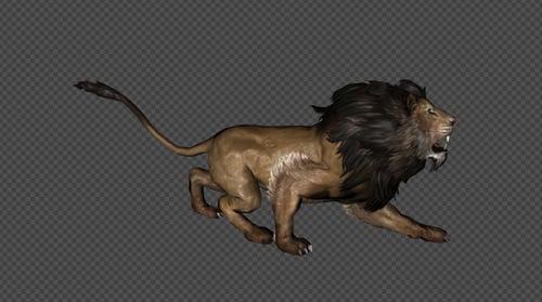 Lion Die And Jump Land And Down Out And Idle PACK 13IN1