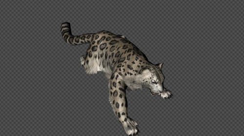 Leopard Die And Down Out And IDle Pack 9In1