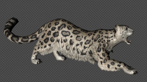 Leopard Attack And Firing Pack 8 In 1