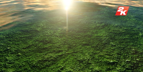 Abstract Green Nature Background with Bright Sun Glare